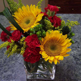 Sunflowers and red carnations in a square glass vase