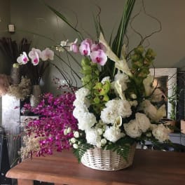 #83 ORCHIDS SPLUSH BOUQUET