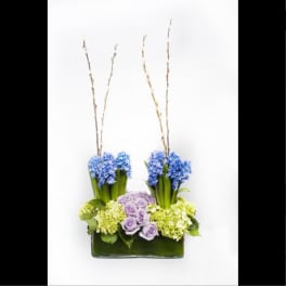 Blue and lavender flowers arranged in a rectangular vase with tall branches