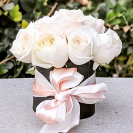 White roses in a black box tied with a pink satin ribbon