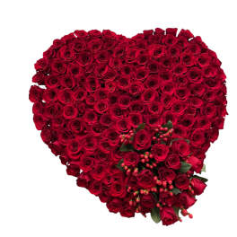 Red Rose Heart