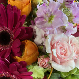 Close-up bouquet of pink roses, magenta daisies, and orange blooms