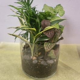 Mixed potted plants in a clear glass container with decorative stones