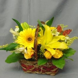 Yellow floral basket arrangement with a gerbera daisy and lily