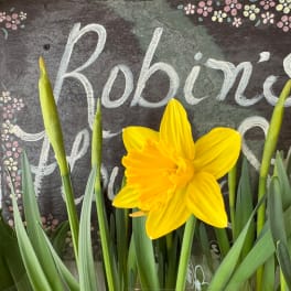 Yellow daffodil gift card with floral artwork
