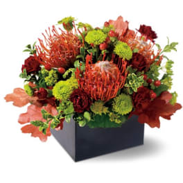 Teleflora's Protea Garden