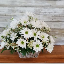White daisy bouquet in a woven basket