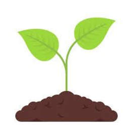 Illustration of a green sprout growing from a mound of soil