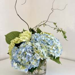 Blue and pale green hydrangeas in a clear glass vase with curly branches