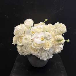 White rose and hydrangea arrangement in a dark vase