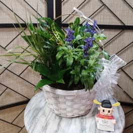 Potted green plant with purple flowers in a white basket, plus a small figurine.