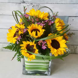 Sunflower arrangement in a square glass vase with pink filler flowers