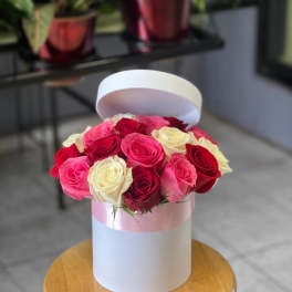 Pink, red, and white roses arranged in a round hat box