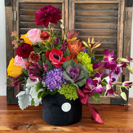 Colorful mixed flower arrangement with roses, orchids, hydrangea, and cabbage in a black cylinder vase