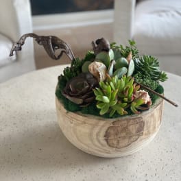 Succulent arrangement in a round wooden bowl with seashell accents