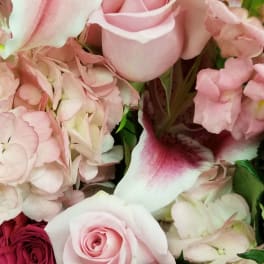 Pink roses and lilies with pale hydrangeas in a mixed bouquet