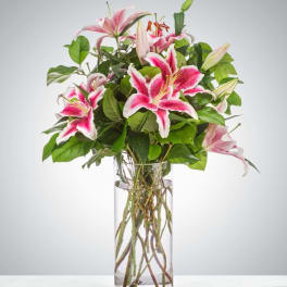 Splendent Stargazers by BloomNation™