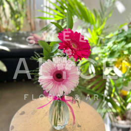 Pink gerbera daisies in a small glass vase with ribbon