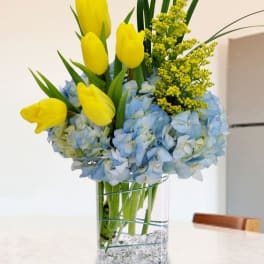 Yellow tulips and blue hydrangeas in a clear glass vase