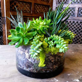 Succulent arrangement in a round glass container