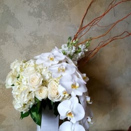 White floral arrangement with cascading orchids in a vase