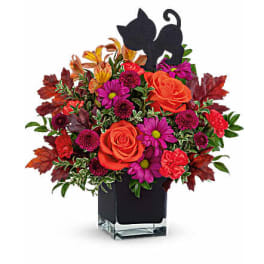 Colorful floral arrangement in a square glass vase with black cat silhouettes