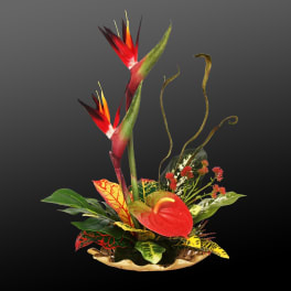 Tropical floral arrangement with red bird-of-paradise and anthurium in a low bowl
