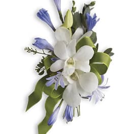 White orchid corsage with blue flowers and green ribbon