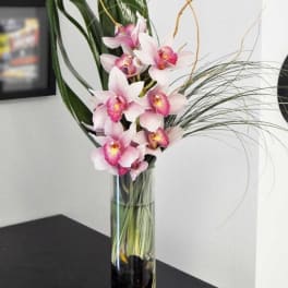 Pink orchids arranged in a tall glass vase with long decorative leaves