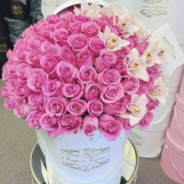 100 Barbie Roses