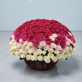 250 Roses Grand Basket