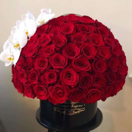 Round hatbox of densely packed red roses with a side accent of white orchids in a black container.
