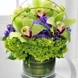 Green orchids and purple flowers arranged in a glass vase