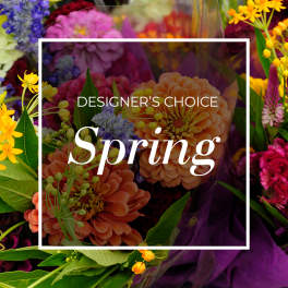Assorted spring flowers with the words Designer's Choice Spring