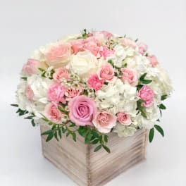 Pink and white roses arranged in a wooden box