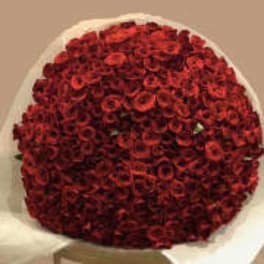 Round bouquet of tightly packed red roses