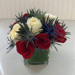 Red and white roses in a square glass vase with spiky blue thistle