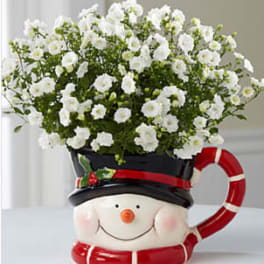 Snowman Surprises Holiday Campanula Plant