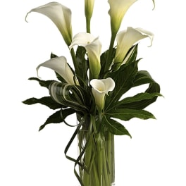 White calla lilies arranged in a clear glass vase
