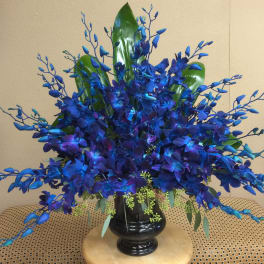 Blue floral arrangement in a black vase with large green leaves