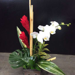 Tropical arrangement with white orchids, red flowers, and bamboo in a wooden box