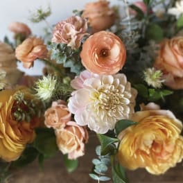 Designer’s Choice- Citrus