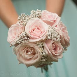 Handheld bouquet of pale pink roses with small white filler flowers