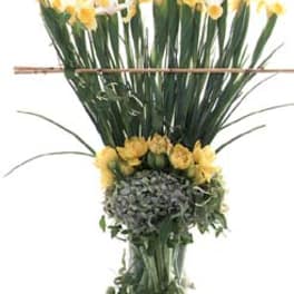 Tall arrangement of yellow daffodils in a clear glass vase
