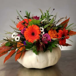 Orange and purple flower arrangement in a white pumpkin container