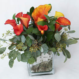 Orange and red calla lilies in a clear glass vase