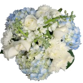White roses and blue hydrangeas in a compact bouquet