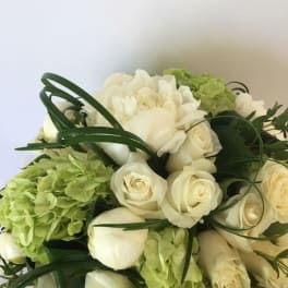 Bouquet of white roses and green hydrangeas with dark ribbon loops