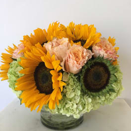 Sunflowers, pale roses, and green hydrangeas in a glass vase