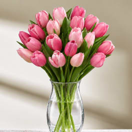 Pink tulips arranged in a clear glass vase